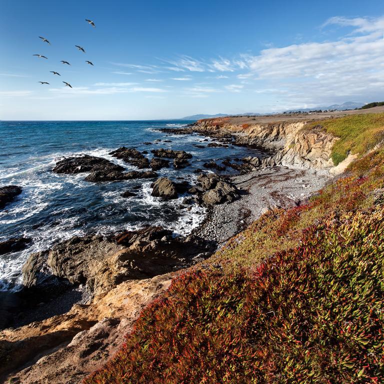 Moonstone Cottages Cambria Exteriér fotografie